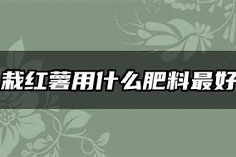 氮肥为主的有机肥是什么肥料