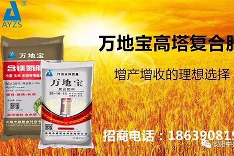 复合肥肥效能持续多久,主要成分是什么