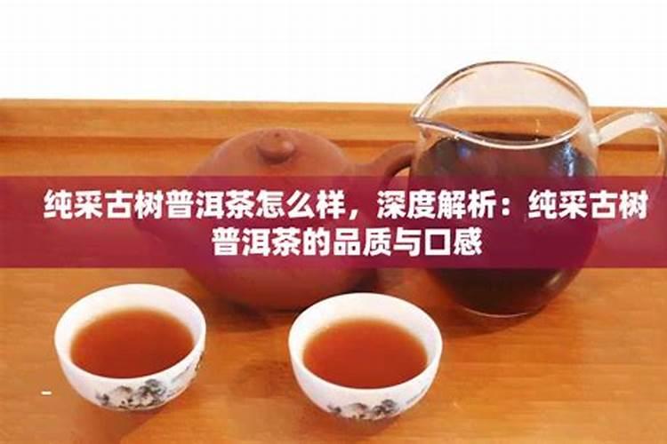 春茶管理的九大步骤