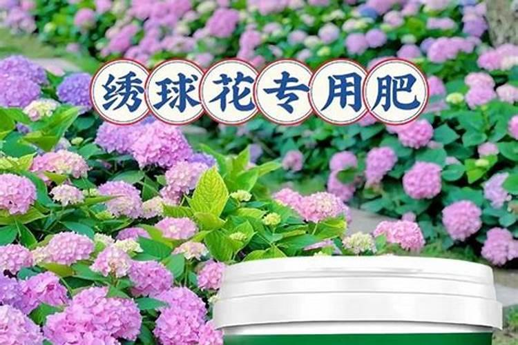 花放什么肥料能养的好