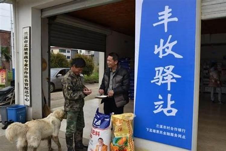 腐植酸是干什么用的？多少钱一吨？