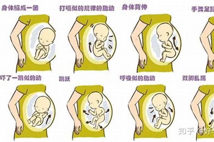 樱桃树几月份上水溶肥(樱桃树什么时候用水溶肥最好)