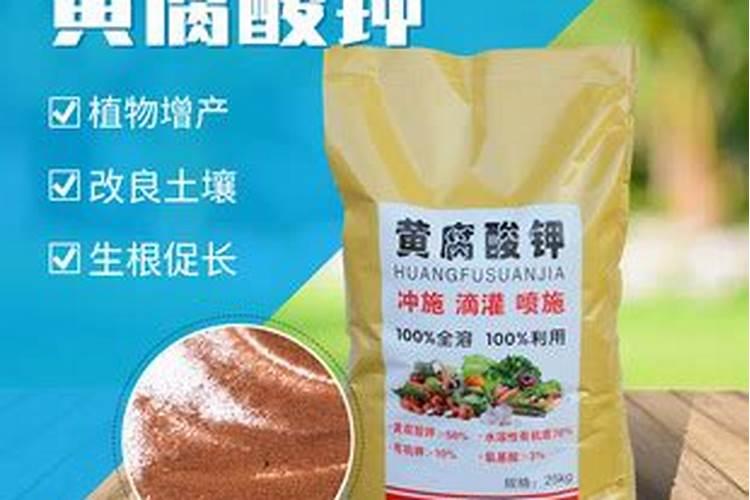 酵母发酵浓缩液干燥粉能在果树上用吗？