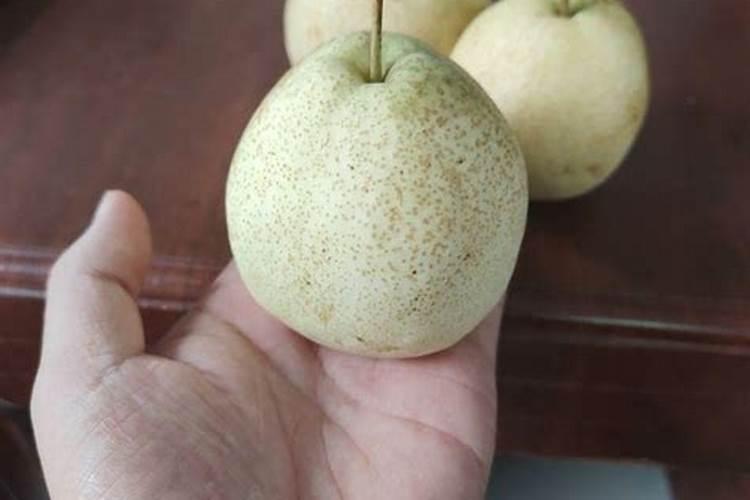 锦绣黄桃叶子有孔!是病还是药害