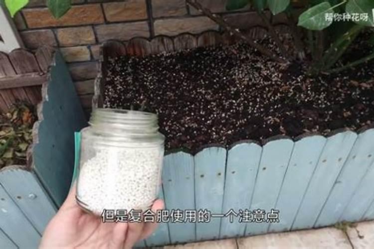 农作物复合肥能用来养花吗