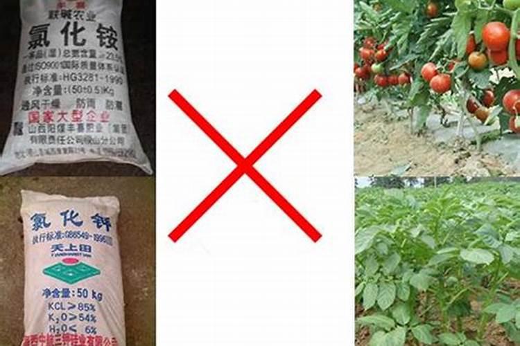 如何划分“大量元素”和“微量元素”？