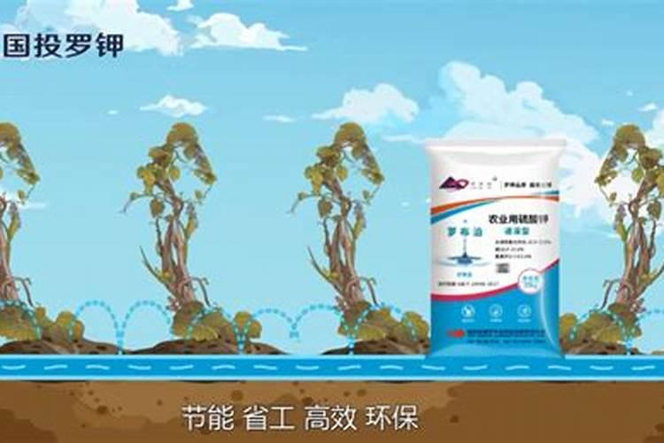 腐蚀品有哪些