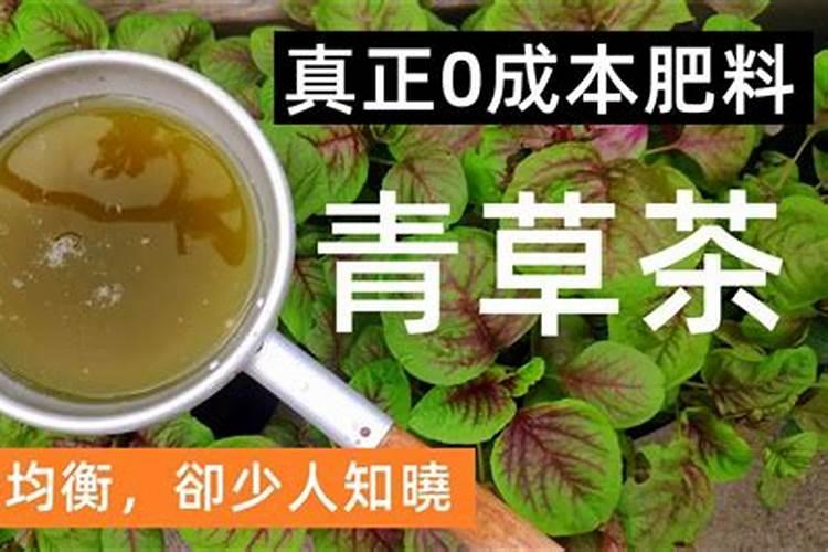 茶叶如何施肥