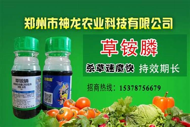 今年种植的石榴树面,地里香附子特别多,可以使用草甘膦吗