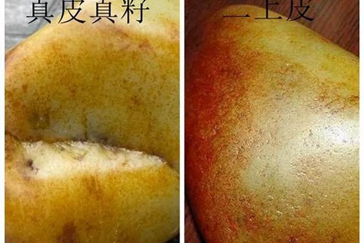 怎样鉴别真假磷酸二铵