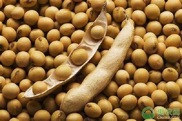 西瓜膨果期用什么肥料