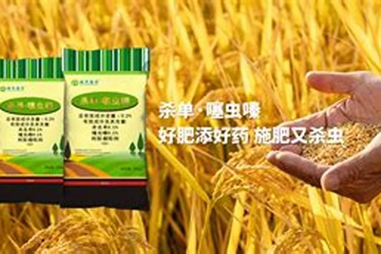 山药牛髓粉的副作用和危害是什么