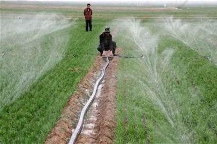 冬小麦什么时候追肥