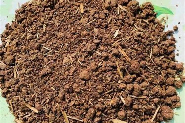 茶枯做肥料要怎么发酵 是不是碱性肥料