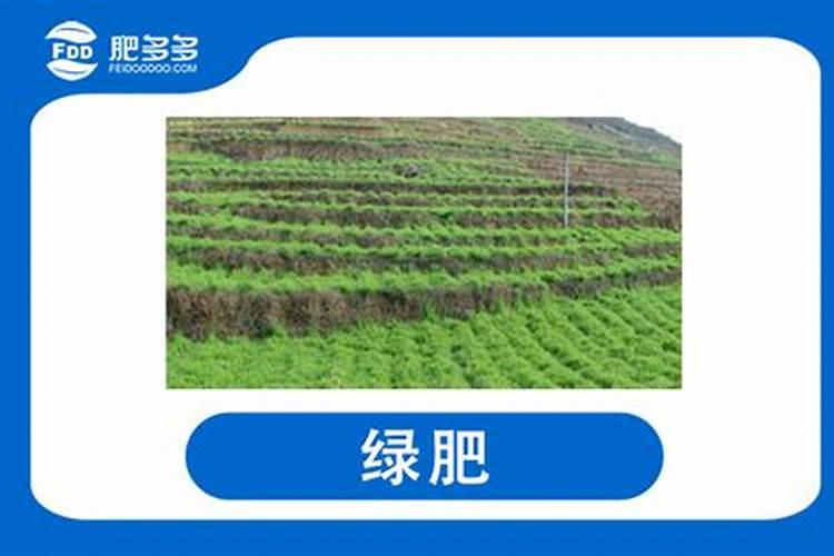 大豆用什么肥料最旺