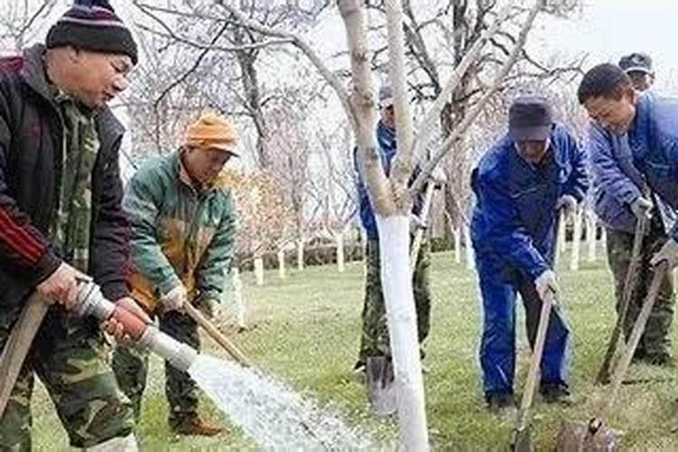 水溶肥怎么施