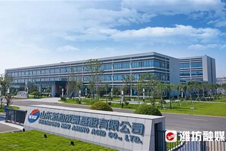 国内氨基酸水溶肥生产厂家有哪些？