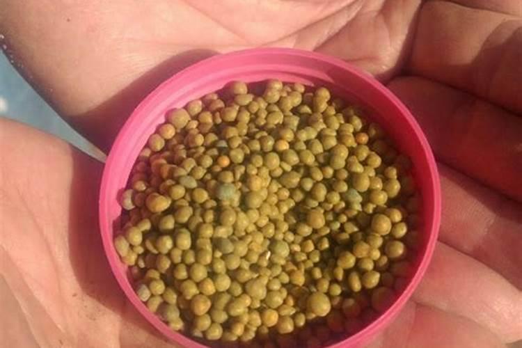 桃树叶面肥如何用磷酸二氢钾