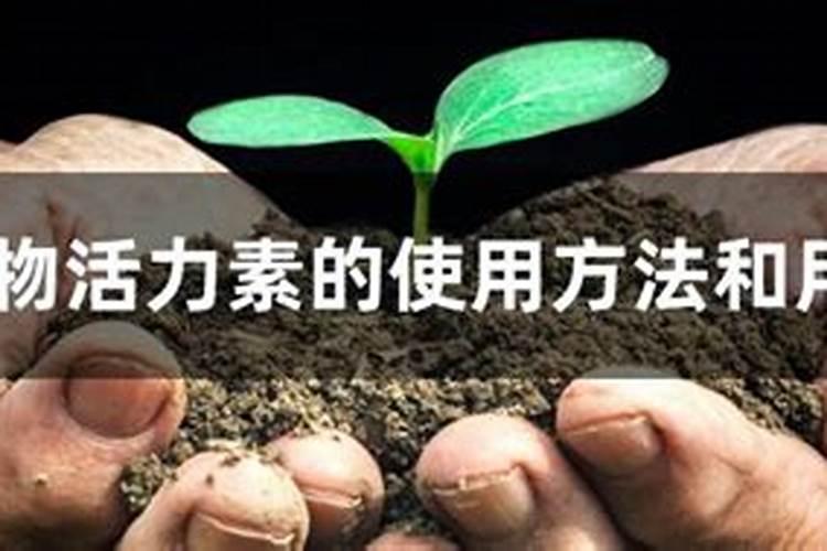 番茄叶子都卷了,有什么办法吗？