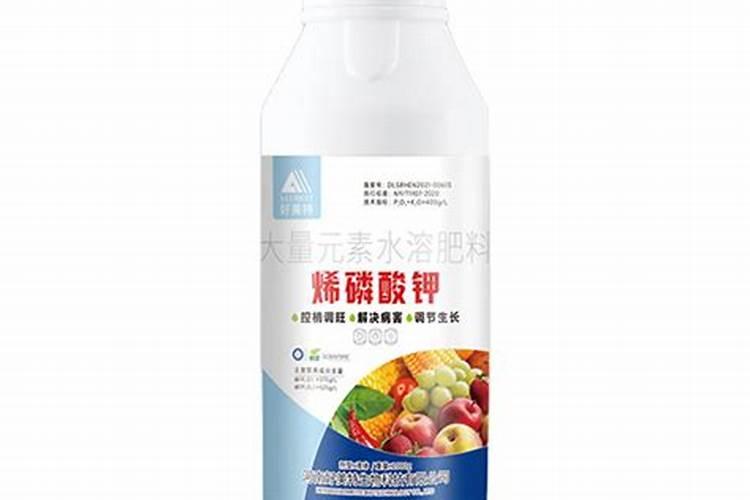 番茄病毒病需要什么药打好
