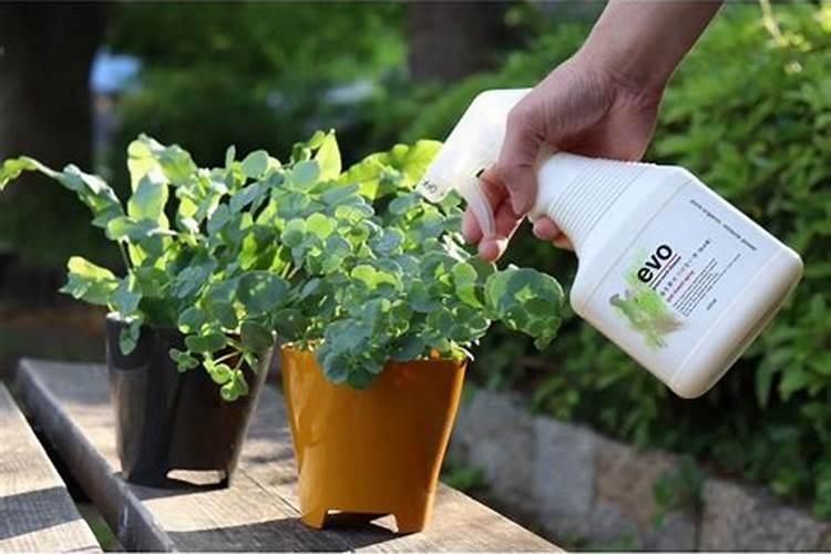 氮磷钾肥哪种肥料抗病虫害(氮磷钾肥料可以消灭虫害吗)
