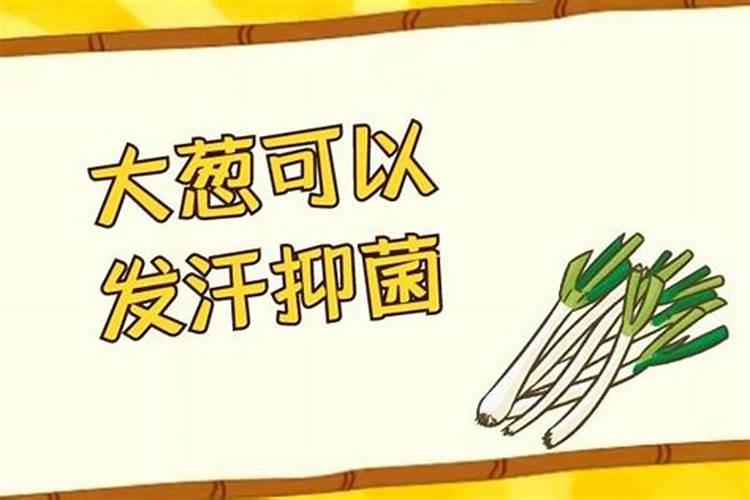 槟榔树怎么种植