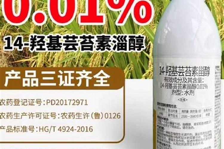 脐橙四点管理技巧 脐橙管理方法