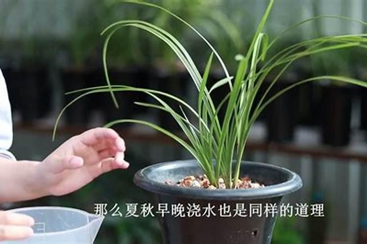 什么叫大宗原材料