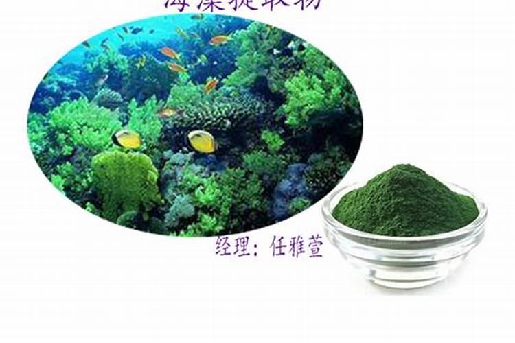 鱼蛋白肥料质量差别都很大,怎样挑选质量好的鱼蛋白肥料？