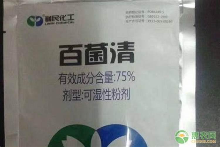 植物施肥用什么肥料好;家庭养花十大最好花肥