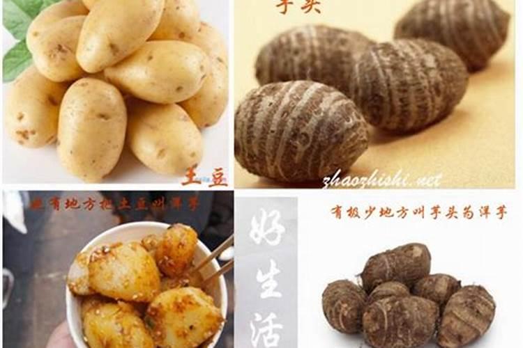 草木灰适合种什么蔬菜