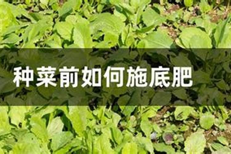 菜花上面长的毛茸茸的东西是什么