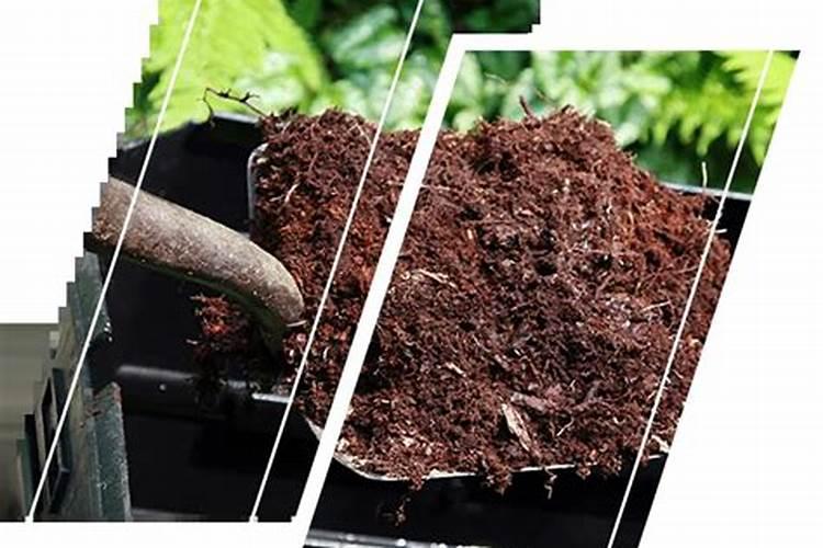 自己在家种花用什么肥料最好
