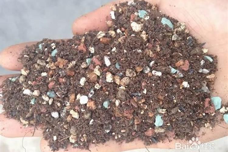 小麦喜欢什么肥料 附用量和用法