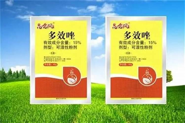 小麦拔节期旺长怎么办？
