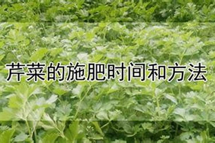 大白菜用什么肥料追肥(上几次肥最好,什么时候用肥)