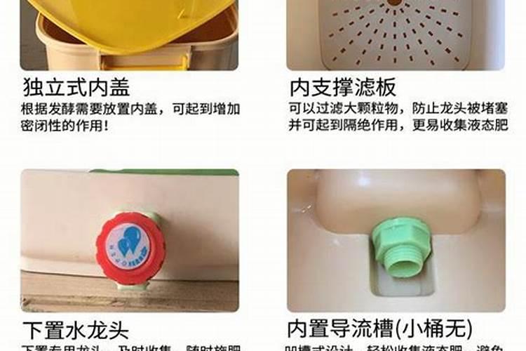 北美冬青多久浇一次水
