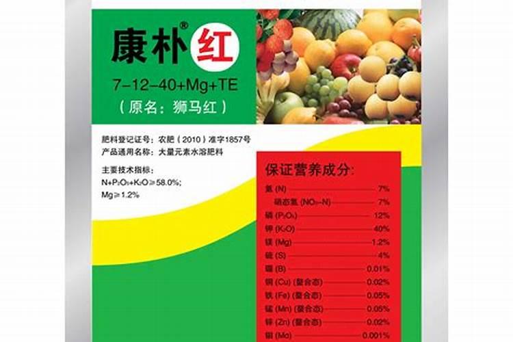 焦必宁个人介绍
