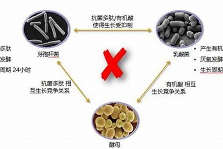 国内比较好水溶肥厂家有哪些？