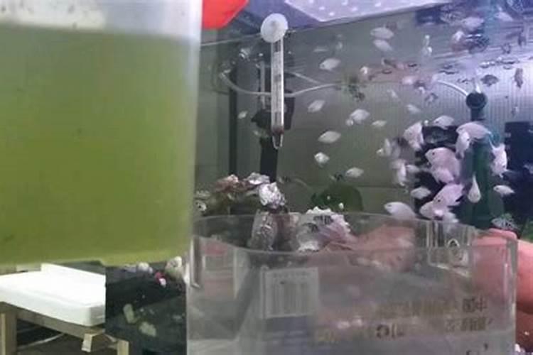 玉米秸秆有什么用途寻求合作