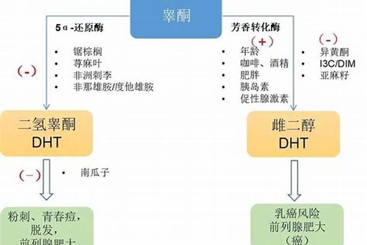 豆角冲什么水溶肥最好