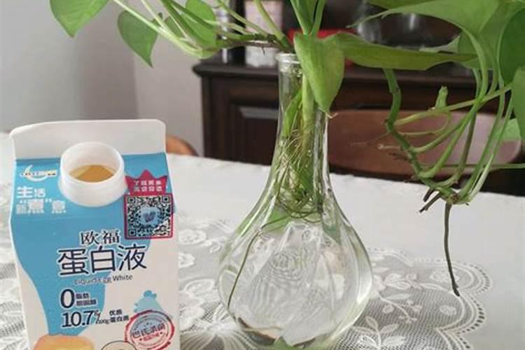 小雨可以撒施冲施肥吗？
