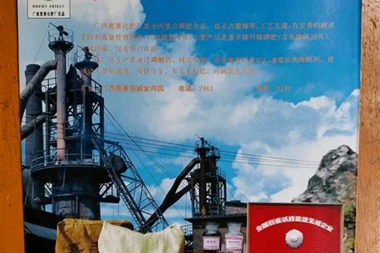应建康个人成就