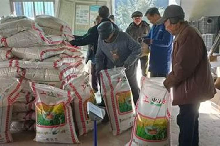 烟草花叶病要用什么药