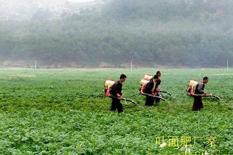 硝酸磷肥如何通过硝酸分解磷矿粉制成？
