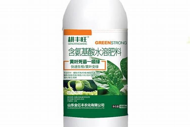 白桦功效与作用