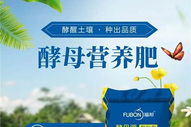养鸡厂鸡粪肥多少钱一袋