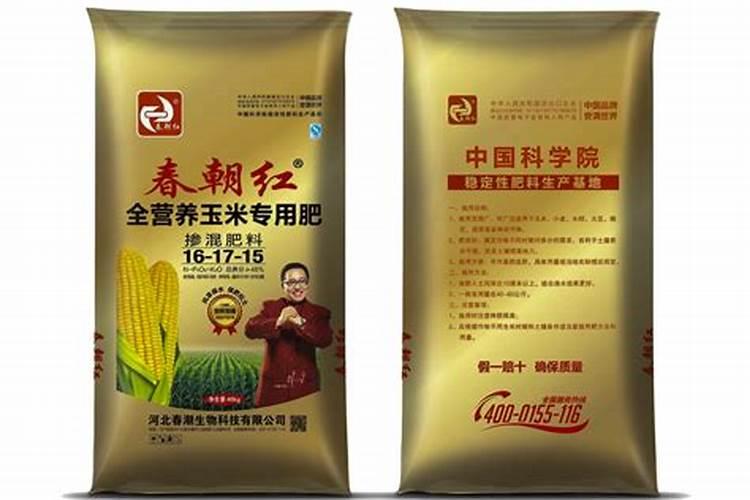 豆子怎么种才能发芽 种豆子的方法