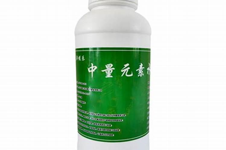 生姜的种植方法和技术