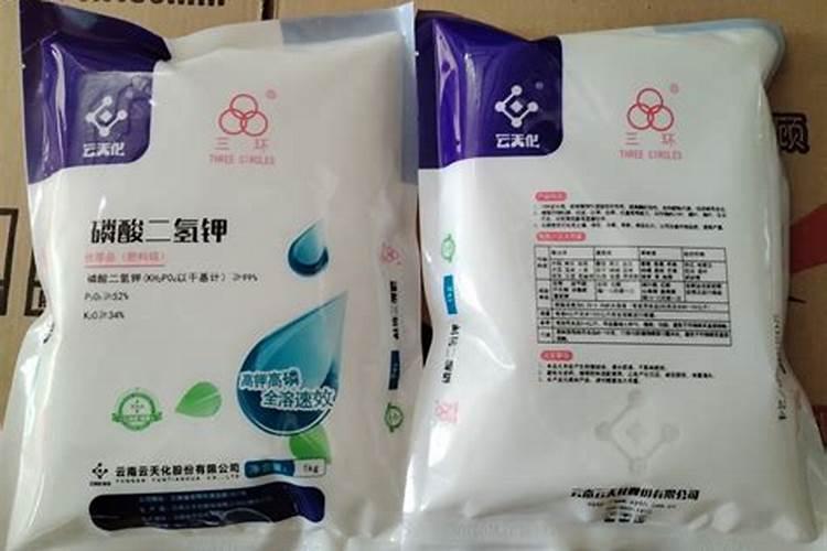 绿萝怎么施肥才好